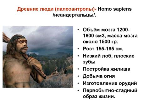 Антропогенез - презентация онлайн