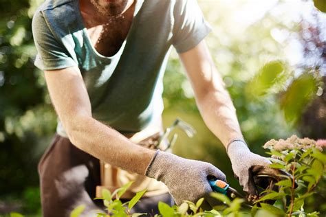 AUTUMN GARDENING TIPS TO HELP YOUR BACKYARD THRIVE - St Germain
