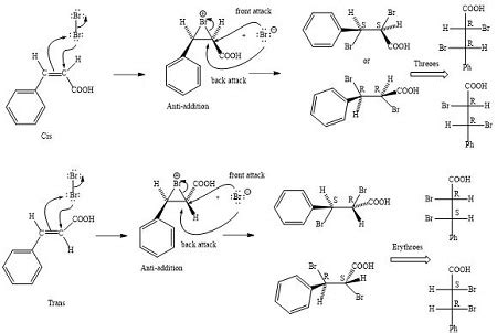 write  mechanism  bromination  br  transcis cinnamic acid