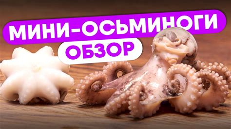 Сравнительный обзор осьминожек. Мини-осьминоги. Как выбрать и на что ...