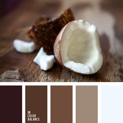 цвет сепия | IN COLOR BALANCE