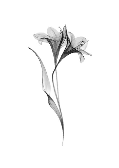 Beautiful And Delicate Designs For Flower Tattoos For Wrist That Offer A Touch Of Natural Elegance 14