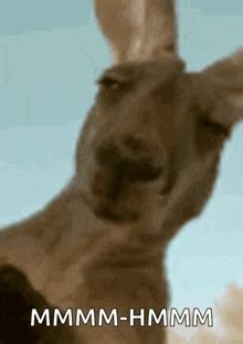 mmm hmm meme gifs tenor