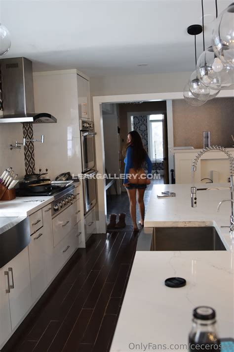 Cecerose Exclusive Leaked Nude Onlyfans #465162