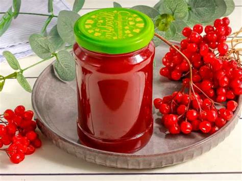 Сироп из калины на зиму — рецепт с фото пошагово. Как сделать сироп из ...