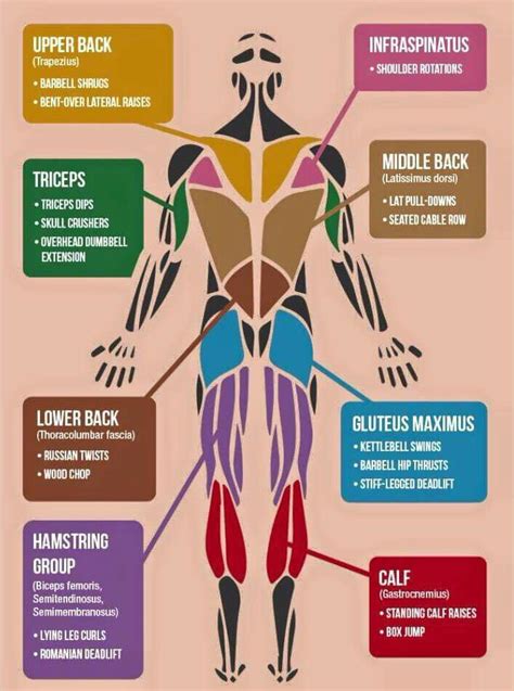 exercise body parts  tina taylor blog
