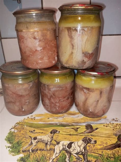 Тушёнка домашняя мясная и рыбная: 75 грн. - Продукти харчування / напої ...
