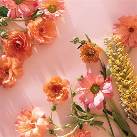 Upcoming Events at Pigment San Diego, North Park