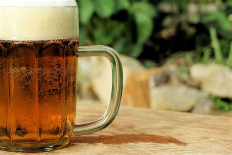 beer pint brew  photo  pixabay