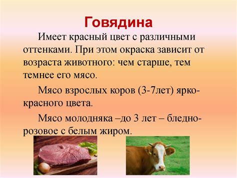 Мясо животных, мясо птицы в питании человека. Виды тепловой обработки ...