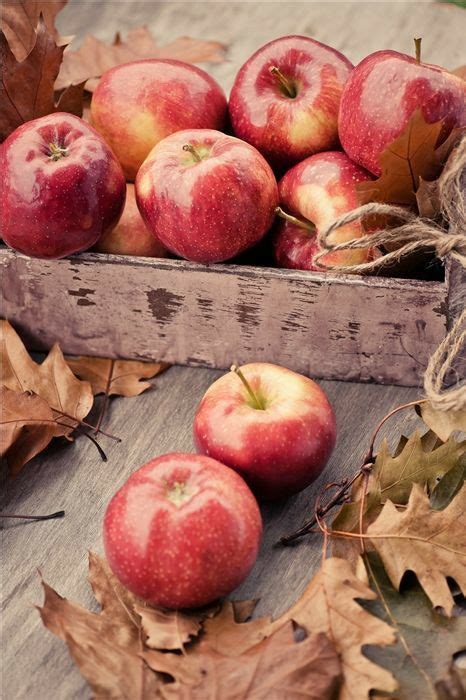 Pin van 임영옥 op 아침 인사 | Appels