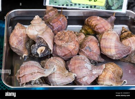 Edible sea snails at Japanese market Stock Photo - Alamy