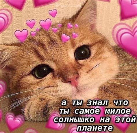 Пин от пользователя miraa_ на доске Для Лунни 💖 | Милые тексты ...