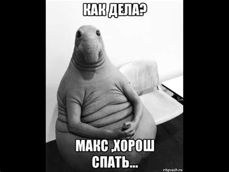 Проснись или уснешь навсегда!!! - YouTube