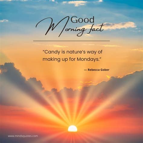 94+ BEST Happy Monday Morning Quotes And Images