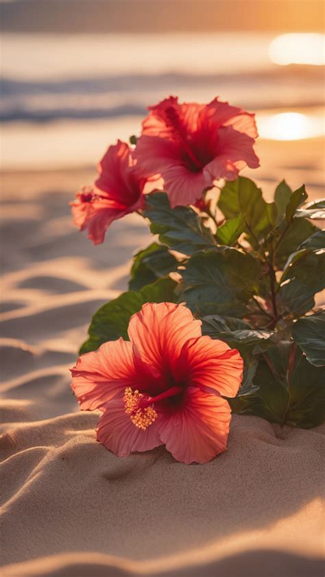 hawaiian flower wallpaper 11