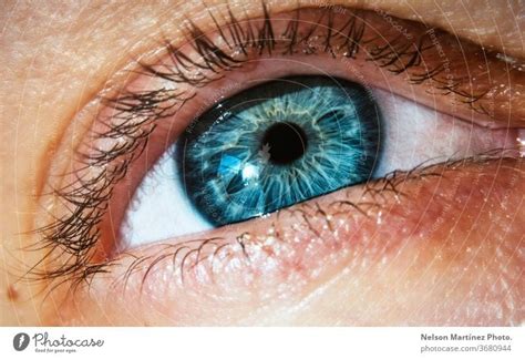 Close-up of a blue eye of a caucasian woman. A closeup shot of the eye ...