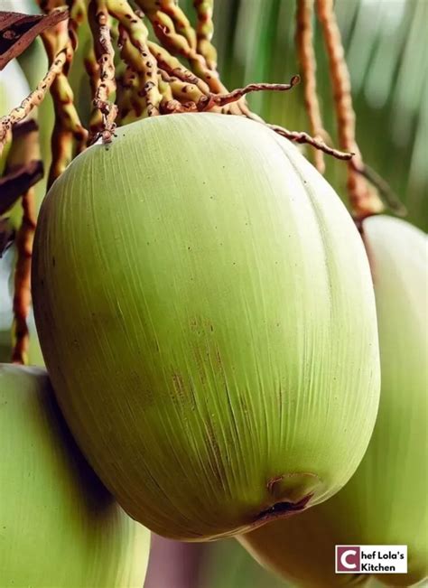 coconut overview    chef lolas kitchen