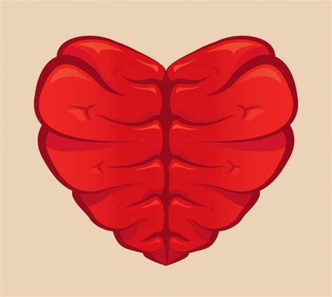 Сердце — Heart