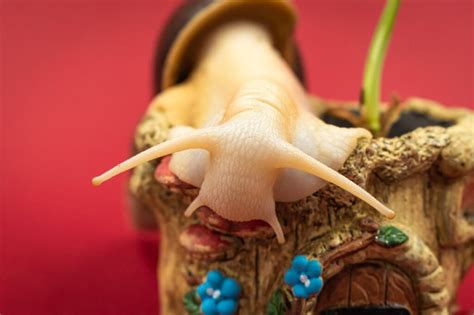 Exploring the Science of Slime: Engaging Experiments for Science Fairs