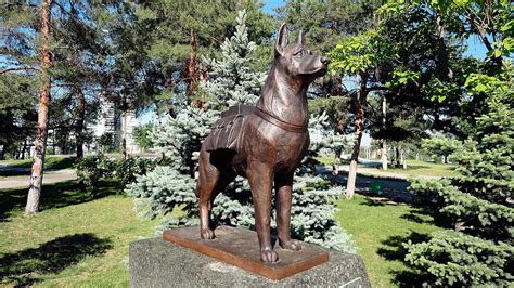 Животные – герои Великой Отечественной войны