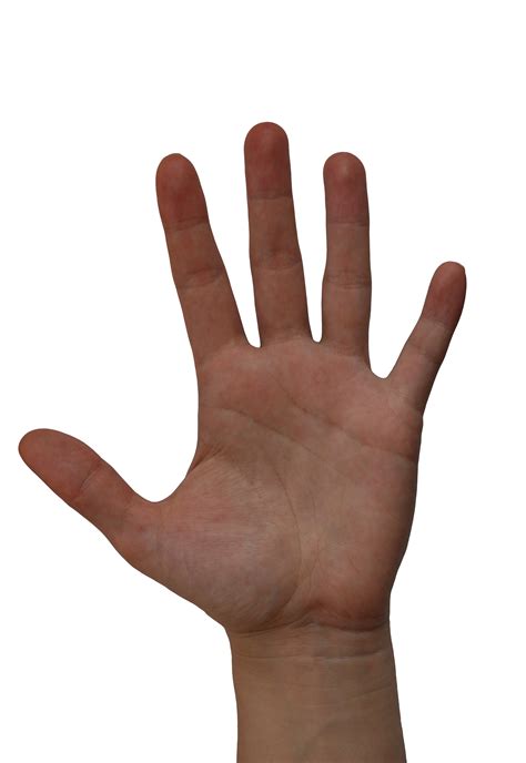 hand