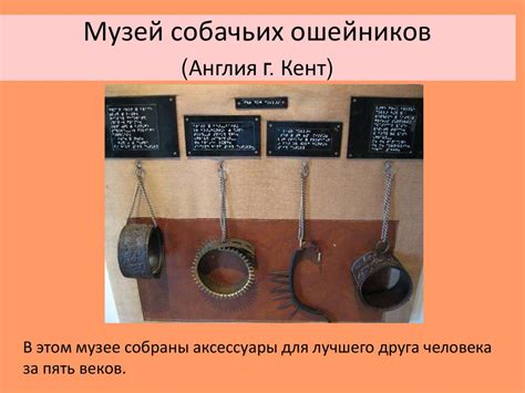 Необычные коллекции (музеи) мира - презентация онлайн