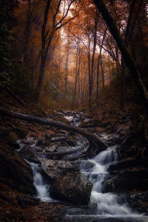 Smoky Mountains Fall Falls [1706x2560][OC] : r/EarthPorn