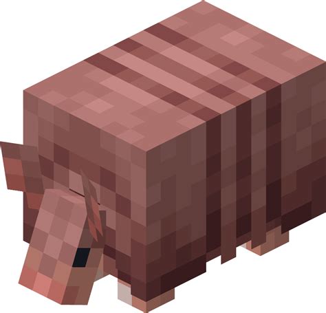 how to find armadillo in minecraft