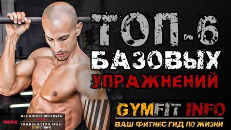 ФРЭНК МЕДРАНО. 6 БАЗОВЫХ упражнений для НАЧИНАЮЩИХ с собственным весом ...