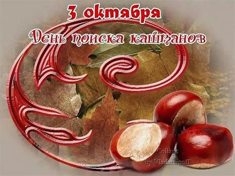Pin by Людмила on 11 Жовтень in 2022 | Food, Vegetables, Radish
