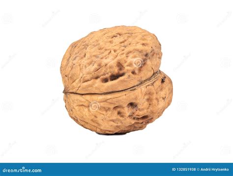large walnut isolate stock photo image  organic food