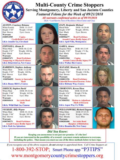 Exposing Mobile Alabama Crime: View Mugshots of Arrested Felons and Felonies Online 1