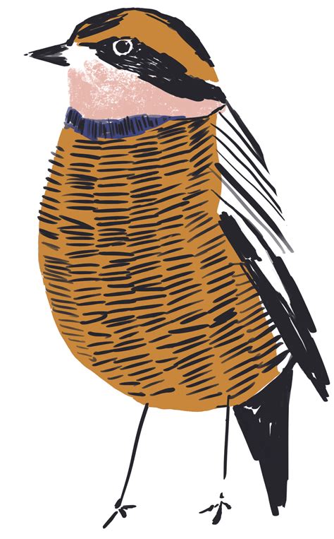 Victoria Johnson Create Explore