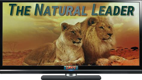 The Natural Leader • Life Mastery TV