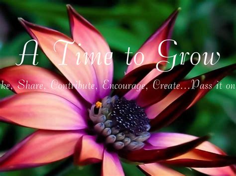A Time to Grow | Indiegogo