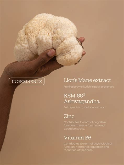 The Wellness Market Will Soon Prioritize The Lions Mane Vitamin - RYZE Superfoods