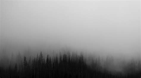Ilmaisia Kuvia : maisema, puu, metsä, pilvi, mustavalkoinen, sumu ...