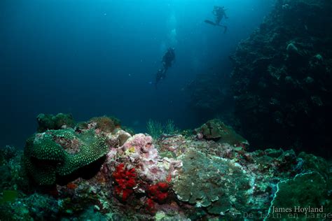 Thailande - jour 8 et 9 : Koh Lanta - Plongée, massages et marché