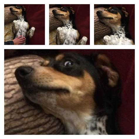 Flashback during belly rub : NamFlashbacks