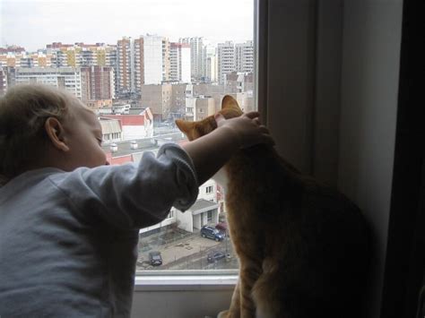 Они понимают друг друга без слов.. Обсуждение на LiveInternet ...