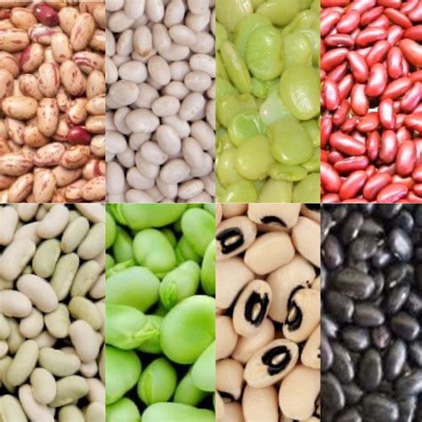 Beans, Beans and Beans – Flexitarian Kitchen
