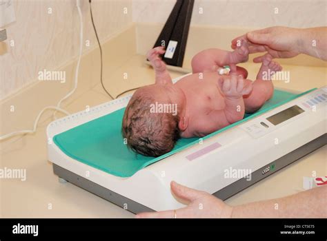 weight newborn baby stock photo alamy