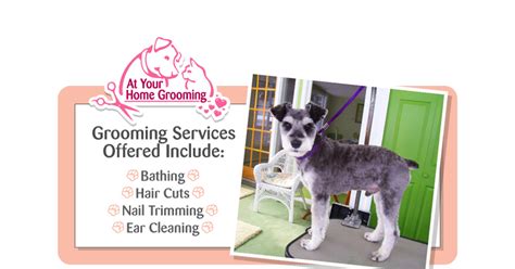 Elevate Your Home with Grooming - Watch Your Family Radiate Joy - Veja Store Site