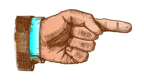 male hand pointer finger showing color gesture vector  vector