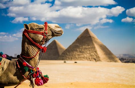 Rantapallon kohdeopas: Egypti