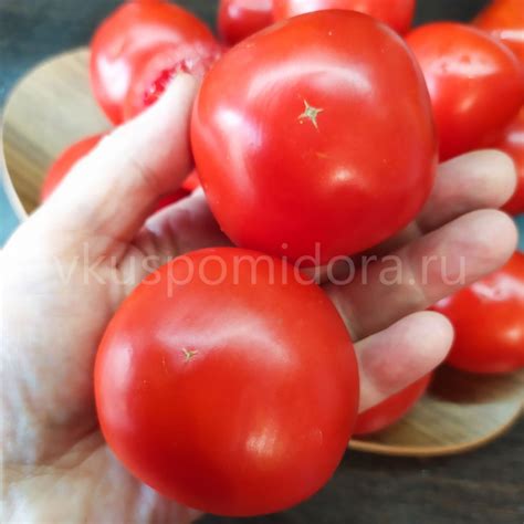 Купить семена томата сорт Санька