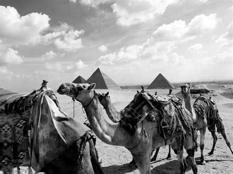 Karlee Grey Photos, Download The BEST Free Karlee Grey Stock Photos