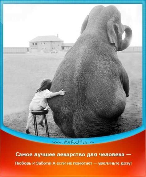 Самое лучшее лекарство для человека — Любовь и Забота! А если не ...