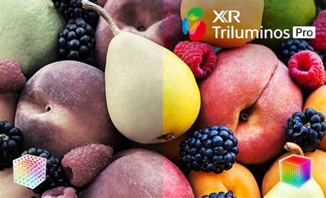 Sony BRAVIA XR | A80K | 4K OLED Smart TV | Sony Asia Pacific